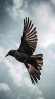 Flying Crow on Cloudy Background photo