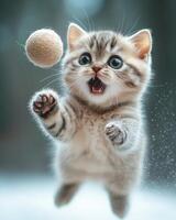 A kitten is playing with a ball in the snow photo