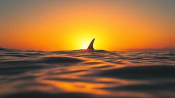 A shark fin breaks the surface of calm ocean waters at sunset, creating a serene atmosphere. photo