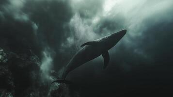 A whale gracefully swims through dark ocean depths, surrounded by bubbles and soft light. photo