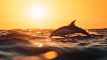 A dolphin jumps out of the water at sunset, creating splashes amidst serene ocean waves. photo