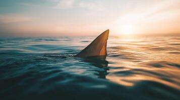 A solitary shark fin breaks the surface of calm ocean water at sunset, creating ripples. photo