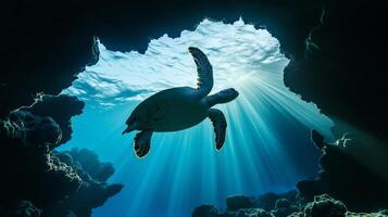 A turtle glides under the water, entering a cave where sunlight creates a mesmerizing effect. photo