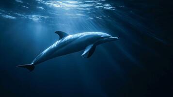 A dolphin glides through sunlit ocean depths, creating a serene atmosphere. photo