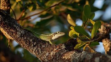 A vibrant green lizard rests on a textured tree branch with leaves around it. photo
