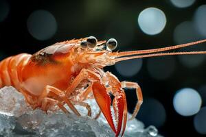 Cold Prawns with Herbs photo