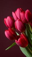 Red Tulips Flat Layout photo