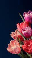 Soft Tulip Arrangement photo