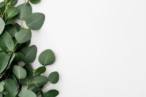 Decorative Leaves Arranged on a Neutral Background for Creative Design Projects and Crafts. photo