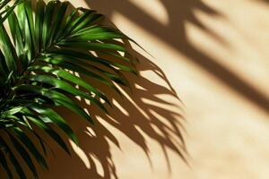 Shadows From a Leafy Palm Create a Soothing Ambiance on a Warm Wall photo