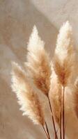 Golden Pampas Grass Arrangement Casting Shadows on a Textured Wall in Warm Light. photo