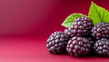 Fresh blackberries on vibrant background. A cluster of ripe blackberries rests against a bright red backdrop, showcasing their rich color and texture. photo