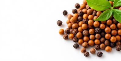 Colorful spices on white. A mixture of brown and black spices is arranged neatly, showcasing their textures and colors, with a green leaf accent. photo