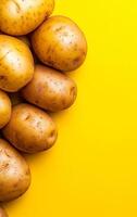 Golden potatoes on yellow bg. A cluster of fresh golden potatoes arranged on a vibrant yellow background, highlighting their natural texture. photo