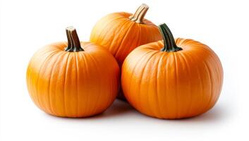 Pumpkins on white background. Three vibrant orange pumpkins sit together on a smooth white surface, highlighting their round shapes. photo