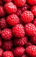 Fresh red raspberries in vibrant display. A close-up view of plump red raspberries clustered together, showcasing their texture and rich color. photo