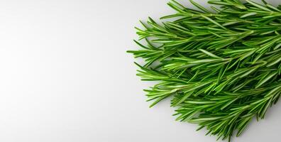 Fresh rosemary leaves for culinary use. Bright green rosemary sprigs arranged neatly against a light background, perfect for adding flavor to dishes. photo
