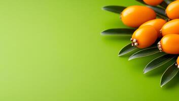 Fresh Sea buckthorn on green background. Ripe Sea buckthorn fruits sit on bright green leaves against a bright green background, showing off their vibrant orange color. photo