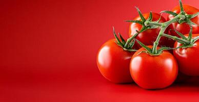 Red tomatoes on bright backdrop. Fresh, ripe tomatoes arranged beautifully against a bold red backdrop showcasing their smooth skin and vibrant color. photo