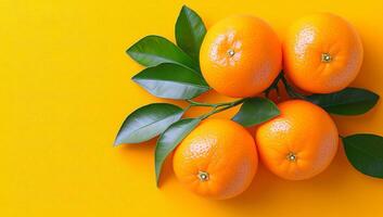 Oranges with leaves on bright bg. Four vibrant oranges with green leaves are neatly arranged against a bright yellow background, showcasing freshness. photo