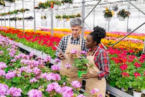 Two botanists in a greenhouse examining a flowering plant together, using a tablet for reference. photo