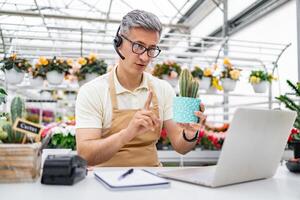 A Caucasian florist on a call presents a cactus while working from his flower shop, using a laptop to sell the plant. photo