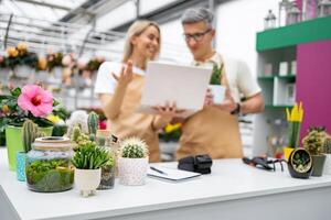 Two florists look at a laptop on a table in their shop, surrounded by various potted plants and cacti, managing their business. photo