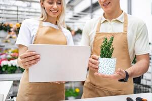 Two florists in aprons examine a small cactus and use a laptop together in a shop. photo