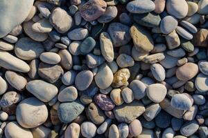 A close-up reveals a diverse collection of smooth, colorful pebbles in various sizes. This serene composition evokes tranquility and organic beauty, perfect for backgrounds and creative projects. photo