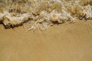 Golden Sand Beach with Gentle Wave, Coastal Beauty and Serene Seaside Landscape photo