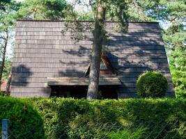 House with a tree in front of it photo