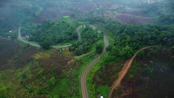 Aerial view of a road surrounded by forest on a foggy morning in the rainy season. Aerial view of the majestic mist forest. video