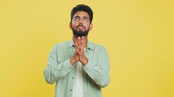 Please, God help. Indian man praying looking at camera and making wish, asking with hopeful imploring expression, begging apology, meditation. Arabian Hindu guy isolated on yellow studio background video
