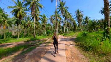 Cinematic FPV drone shot of fit woman running on path through tropical palm forest, captured on bright sunny day in slow motion. Ideal for fitness, travel, wellness, and active lifestyle themes. video