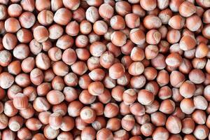 Lots of hazelnuts scattered on the surface create a textured food background to showcase concepts related to healthy eating, snacking or baking. photo