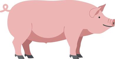 Pink Pig Farm Animal Illustration with Simple Design and Side View vector
