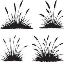 Set of simple black grass silhouettes with wheat isolated on white vector