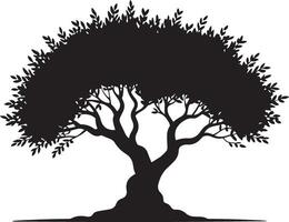 Silhouette of a large olive tree with lush foliage against a white background vector