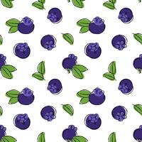 50s retro style seamless pattern with blueberry and leaf on transparent background. Repeating print for food packaging. vector