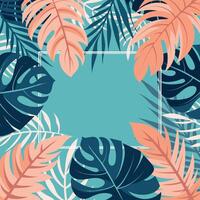 Tropical leaves border design vector
