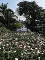 river has become dead due to garbage dumping. photo