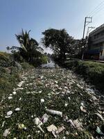 Throwing garbage into the river is very harmful. photo