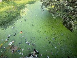 In the past, water flowed through the river, but now the river has become dead due to garbage dumping. photo