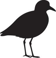 Javan Plover Solid Black Silhouette vector