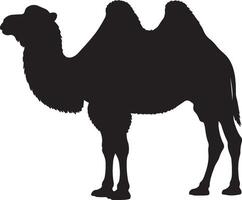 Bactrian Camel Solid Black Silhouette vector