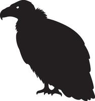 A black silhouette of a vulture on a white background vector