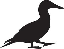 Masked Booby Solid Black Silhouette vector