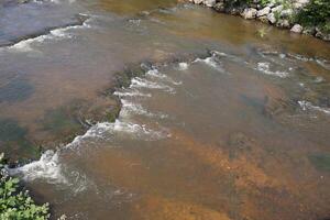 Scenic Flowing Dirty Stream with Rocks and Vegetation on a Summer Day photo