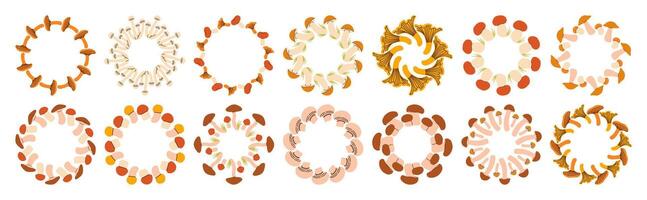 Mushroom circle frame set. Round border made of fall mushrooms. The mushrooms have different shapes and are arranged in a circle. flat isolated on white background. vector