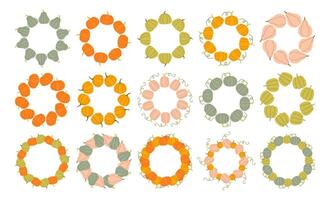 Pumpkin circle frame set. Round border made of fall pumpkins. The pumpkins have different shapes and are arranged in a circle. flat isolated on white background. vector